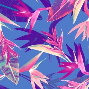 Meet your Posher, Karlie